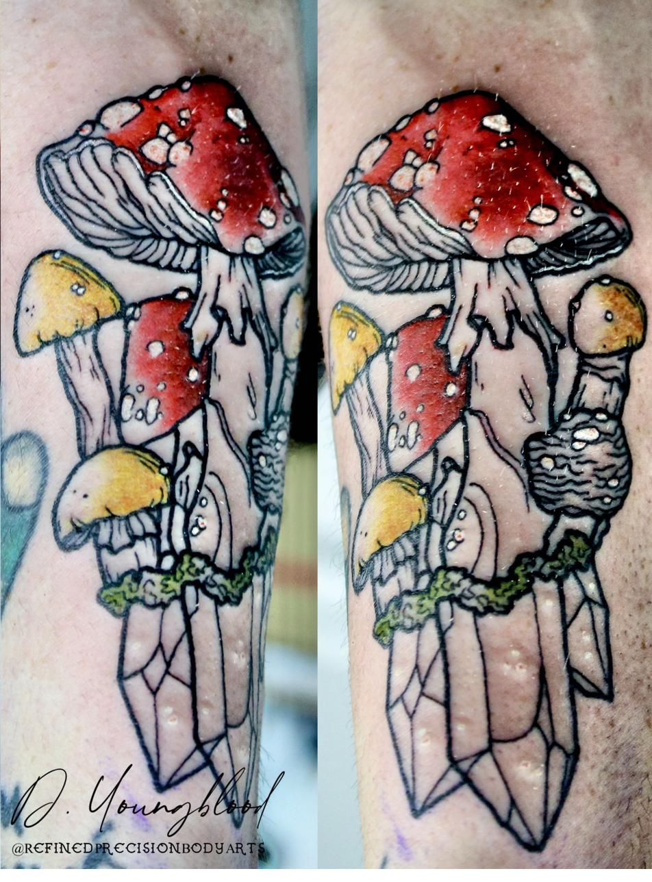 Amanita and crystals