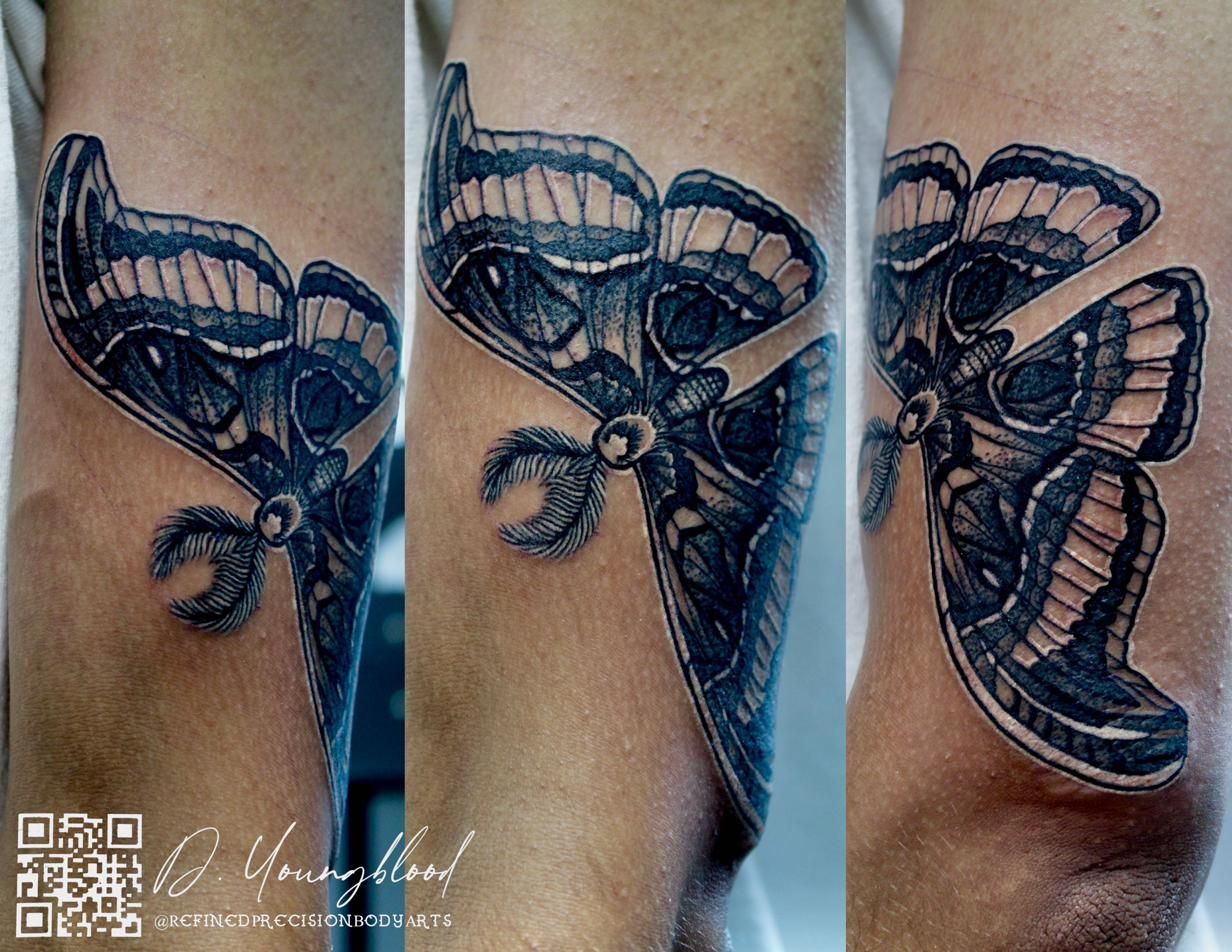 Moth