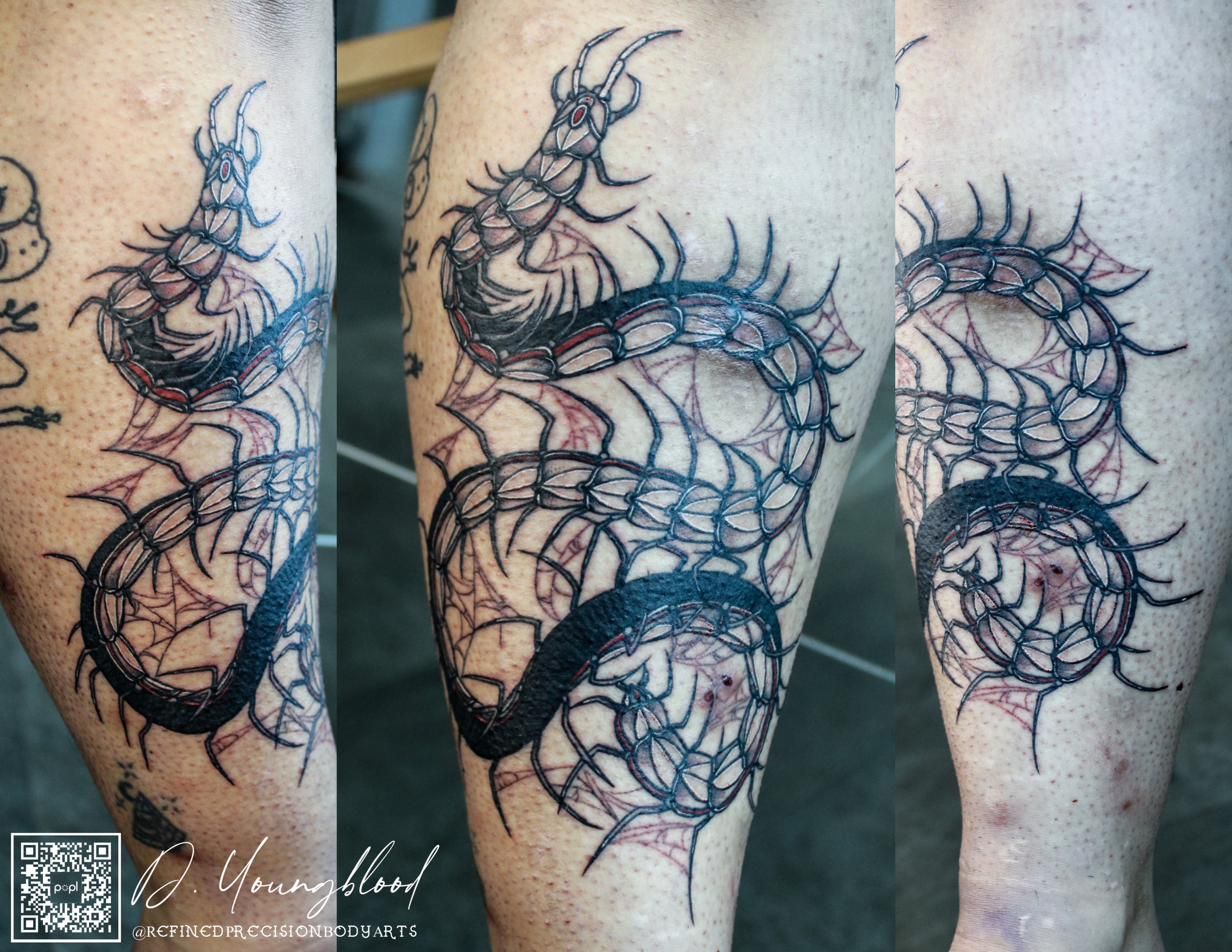 Centipede