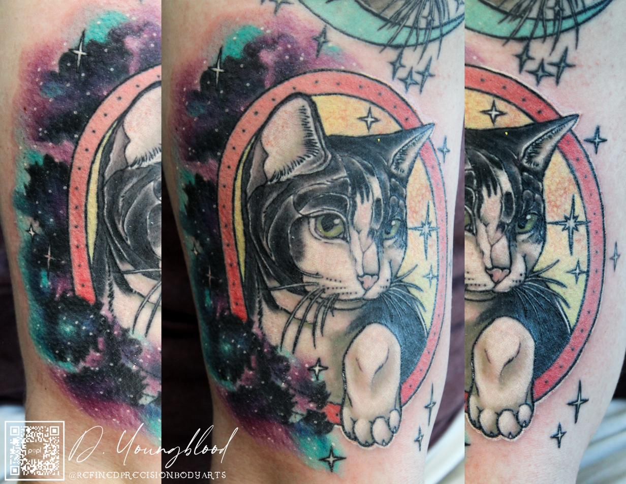 Cat in a frame