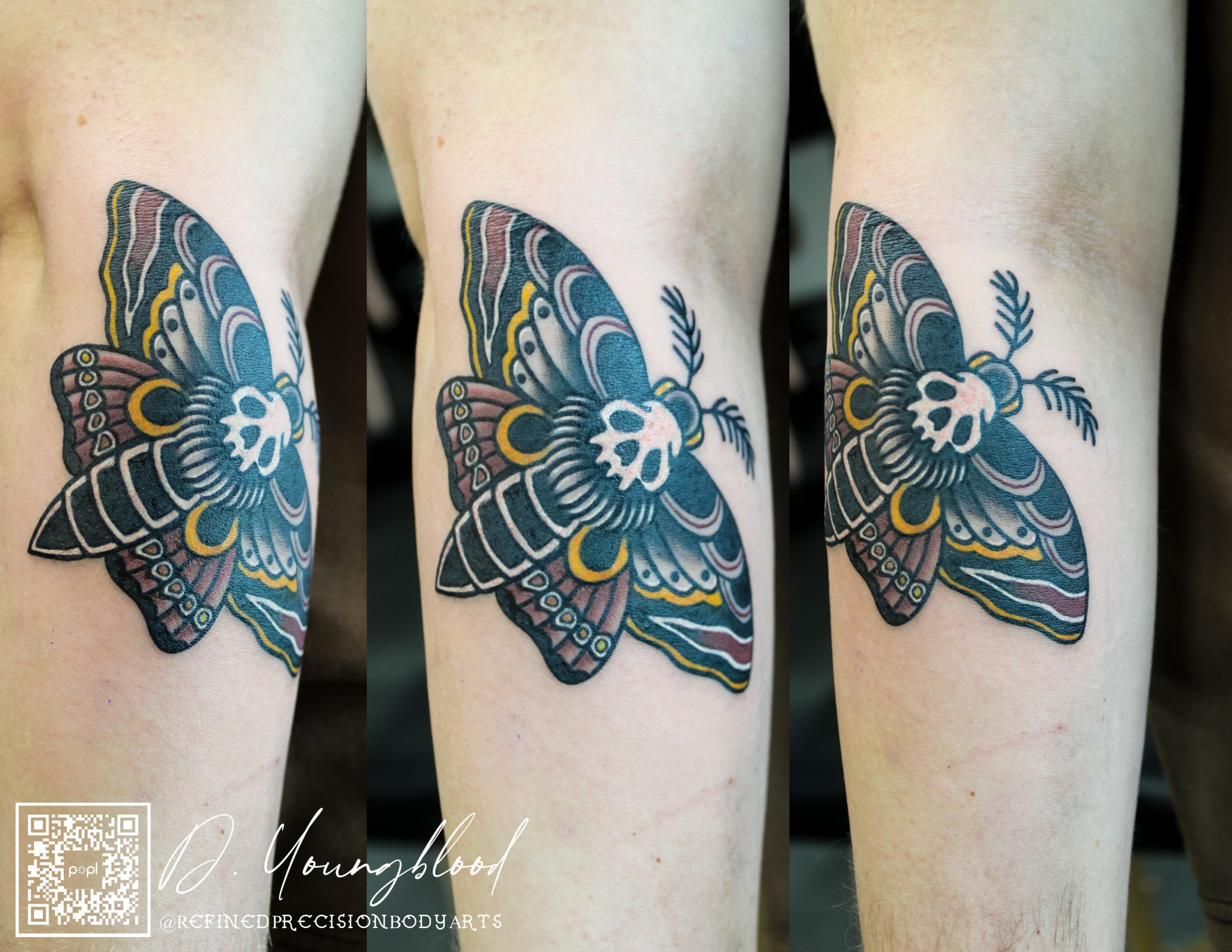 Death’s head moth