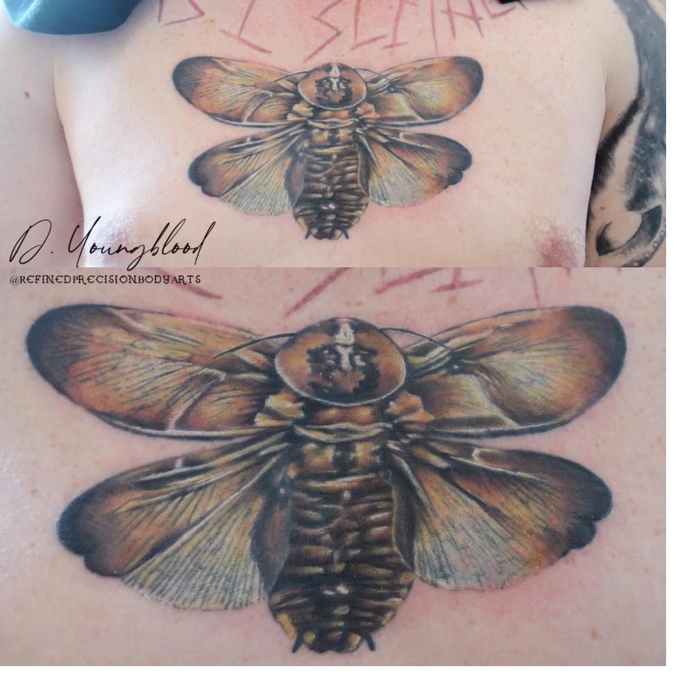 Death’s head roach