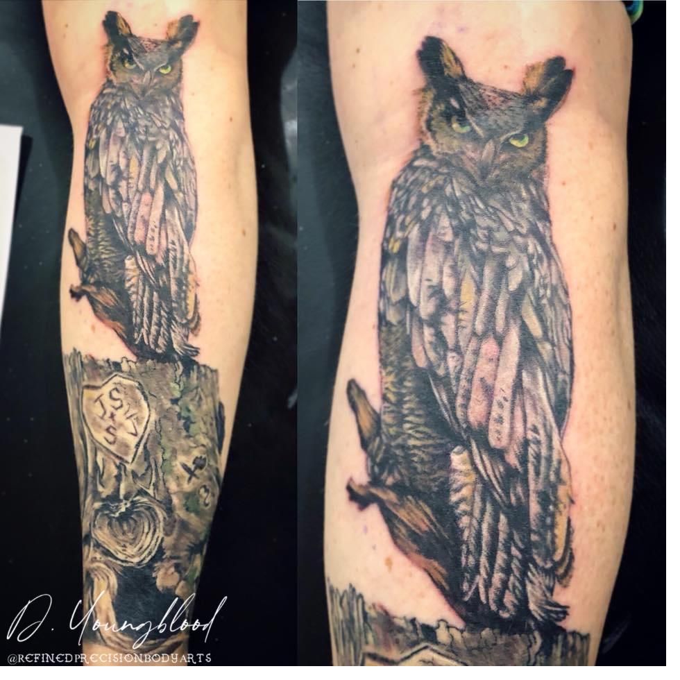 Great horned owl and stump