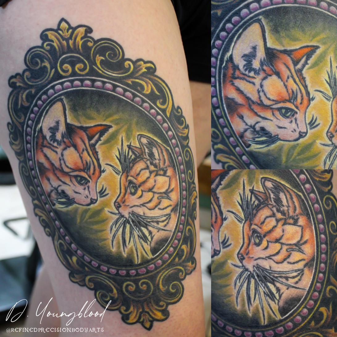 Two cats in a frame